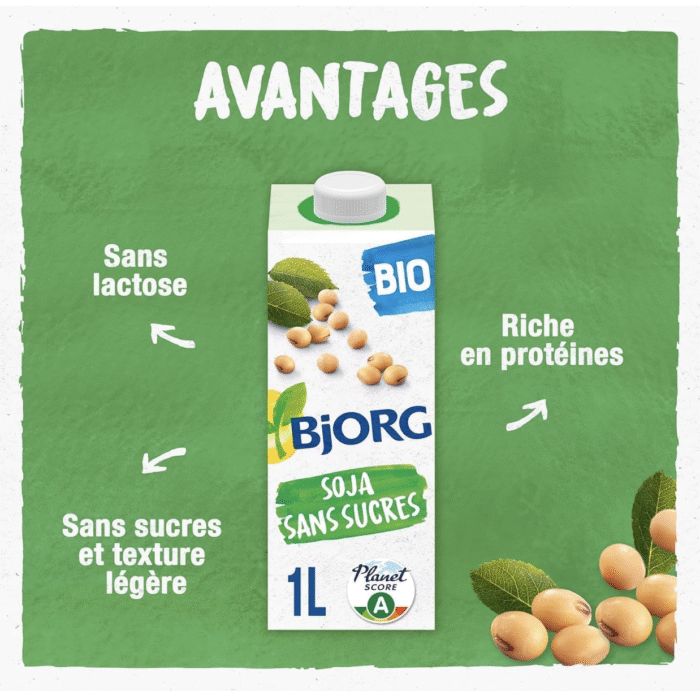 DESTOCKAGE - Palette BJORG Boisson Soja Bio 1L (2 304L)